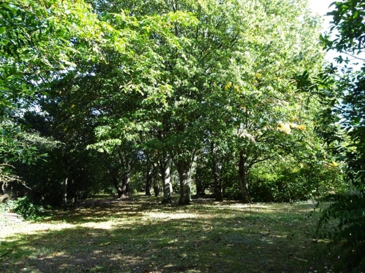 Le Petit Logis Blere Exterior foto